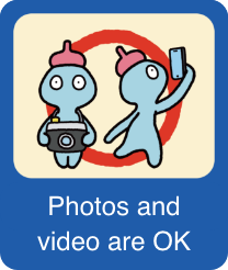 Photos and video are OK